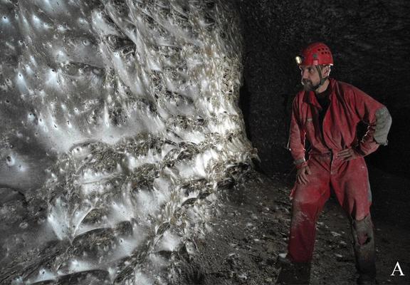 cave explorer in red protective gear standing nextr to a cave wall entirely covered in dirty-looking spider silk