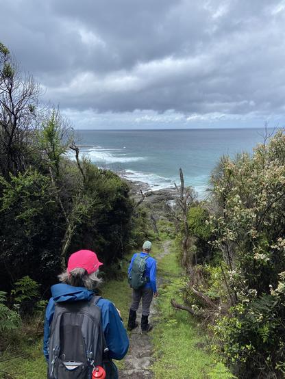 Two hikers walk down a narrow dirt path between trees toward the ocean under cloudy skies