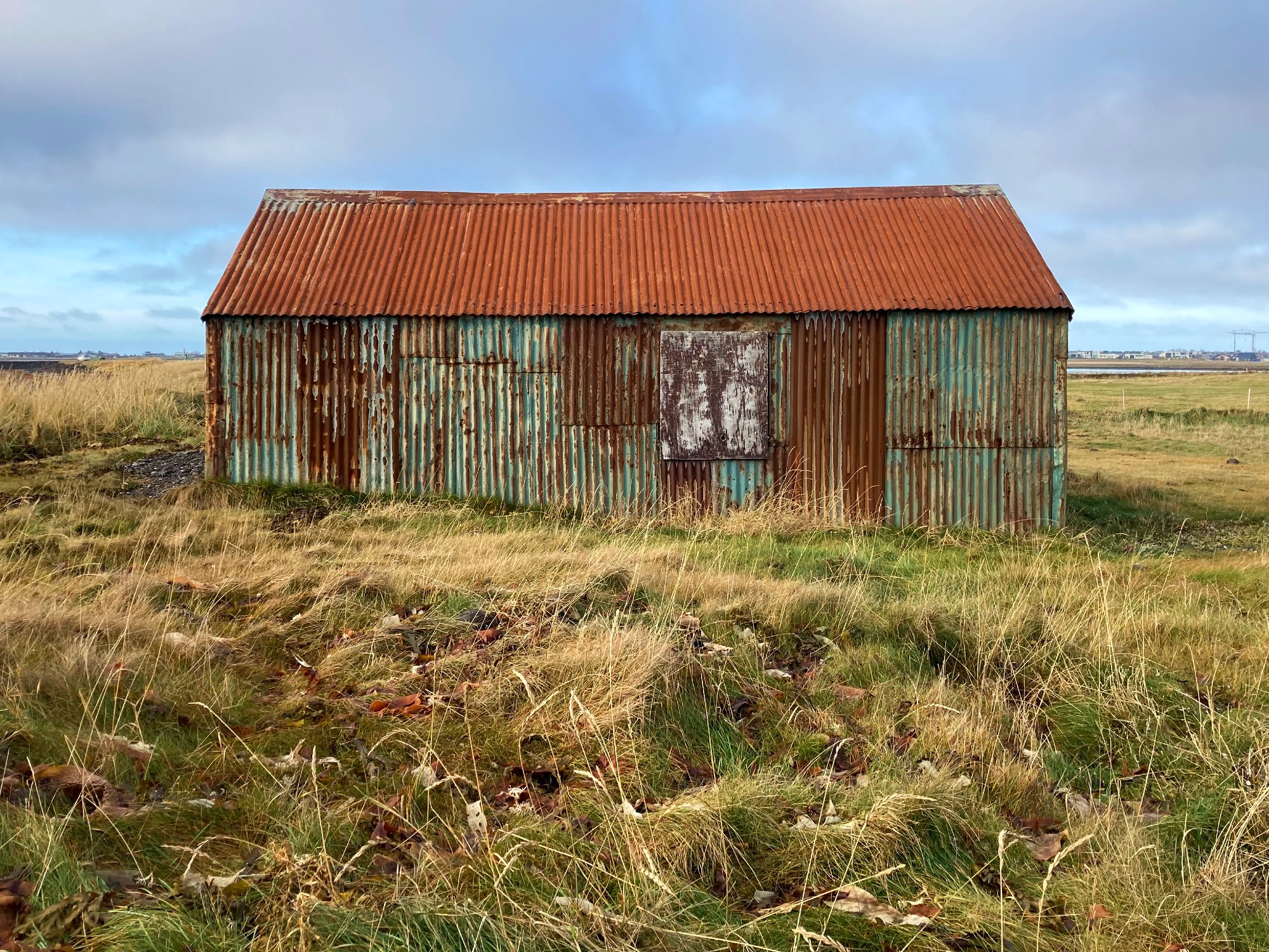 A very rusty old shed surrounded by grass and seaweed.