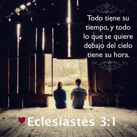 Todo tiene su tiempo.