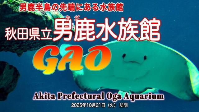 【秋田県】男鹿半島で水族館さんぽ