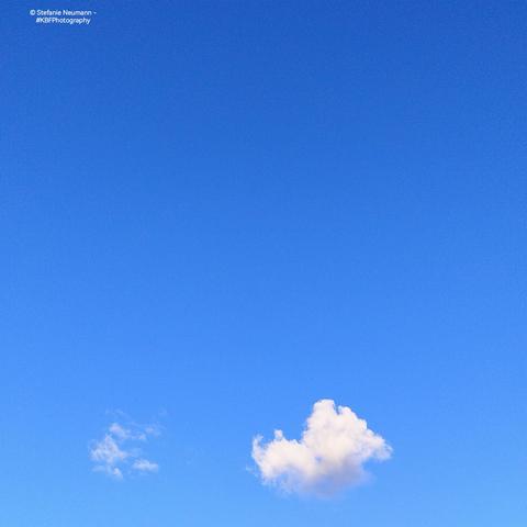 Blue sky with a little white cloud in the lower third of the square picture.

© Stefanie Neumann - #KBFPhotography