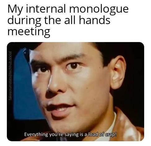 Photo of a man saying "Everything you are saying is a load of crap".
Caption:My internal monologue during the all hands meeting