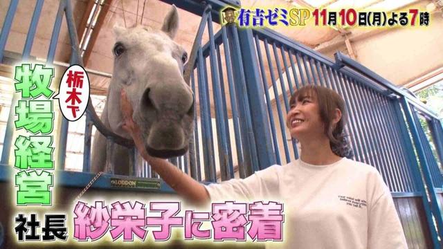 【公式】11月10日月曜よる7時~有吉ゼミSP▼ギャル曽根&最強メダリスト軍!紗栄子に密着!工藤農園ニンニク作り