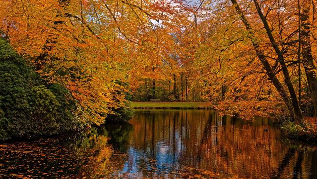 Typical autumn forest colours in the trees over a ditch in a park.