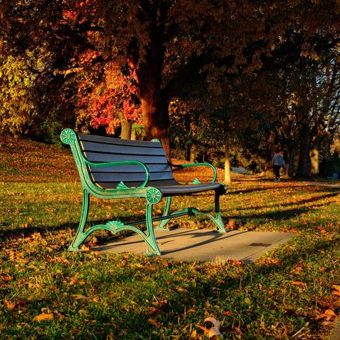 A green metal bench sits on grass covered in fallen leaves, under trees with autumn foliage. Sunlight casts long shadows, and a person walks in the background.