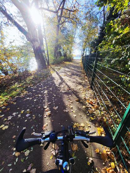 Blick auf einen sonnenbeschienen Weg mit Schatten von flankierenden Herbstlaubbäumen, gegen Sonnenlicht im wolkenfreien Himmel. Am Horizont sonnenglitzerspiegelndes Gewässer. Im Bildvordergrund unten ein Fahrradlenker.