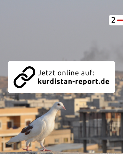 Der Hintergrund ist der gleiche, wie schon im ersten Bild. In einem weißen Kasten steht der Hinweis: „Jetzt online auf: kurdistan-report.de“