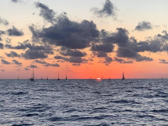 A landscape photo showing the sunrise at sea, with multiple sailboats taking part in the Global Sumud Flotilla visible. The swell is relatively calm, and the clouds are fluffy, with a beautiful spectrum of colour from red, orange, yellow, and blue in the sky.