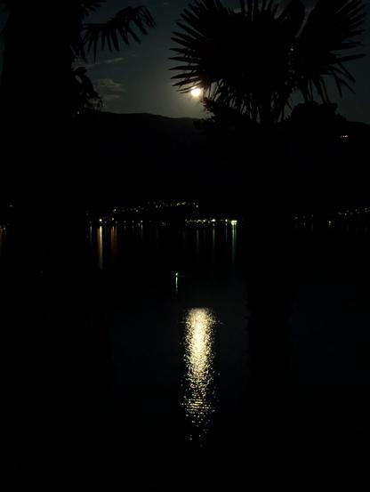 Night shot of a landscape by a lake. The moon hangs over a mountain ridge and casts its light like a golden trail onto the black water. Colourful sparkles of light from the villages can be seen on the distant shore. In the foreground, large palm trees stand silhouetted, framing glimpsed in the scene. A mystical, tranquil atmosphere.