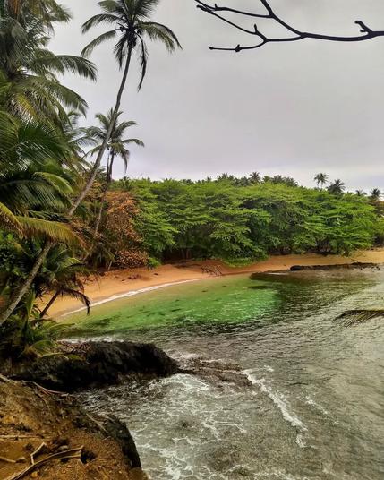 a small empty beach stands out of the tropical forest in an island.