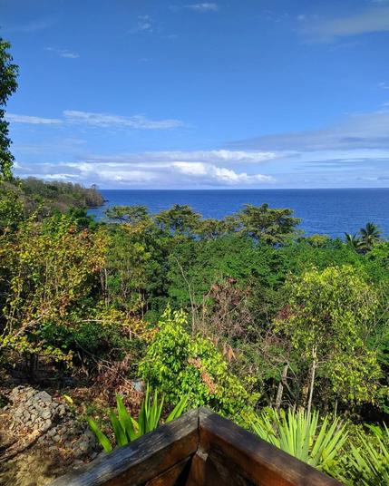 a view from a lookout point overviewing tropical forest that extends away into the ocean. at a distance both the sea and the sky are very calm and blue