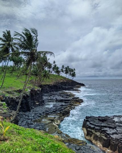 ocean front where the ocean meets vulcanic rocks with exagon shapes. these rocks have different heights and form some loose pools. on the land side there are lots of palmtrees and green grass