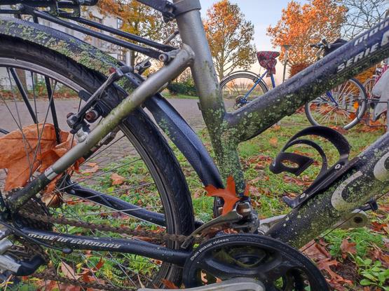 Grünzeug wächst auf einem Fahrrad.