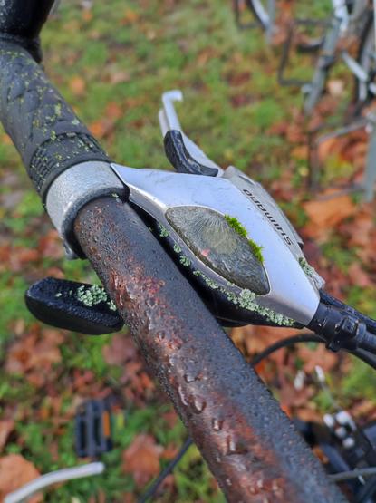 Moos wächst an einem Schalthebel.