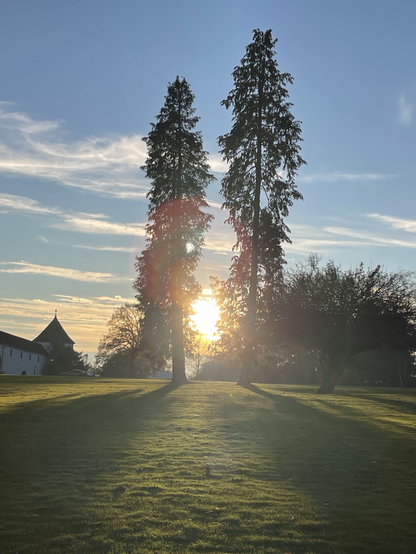 Foto zweier schlank gewachsener Tannen, die frei auf einer Rasenfläche stehen. Zwischen den Bäumen steht die Sonne niedrig am Himmel, der abgesehen von wenig fedrigen Hochnebelresten helblau ist.