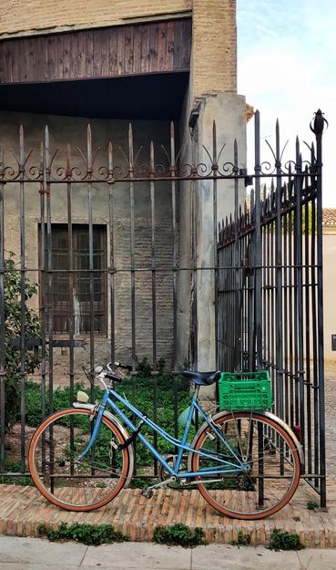 En la foto se ve una bici, atada a un reja que rodea a un edificio antiguo. Detrás de la reja vemos un jardín, no muy bien cuidado, dónde medran las malas hierbas. La bici es azul y tiene detrás una cesta verde.