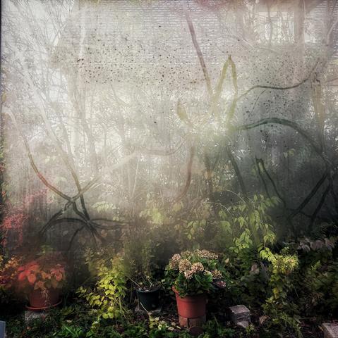 Beschlagene Terrassentür mit feinen, verschlungenen Spuren von Schnecken. Die Linien wirken wie leuchtende Pfade, die über die Glasfläche tanzen. Foto by Johann Seidl, Freisinger Gartenblog