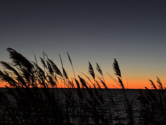 Looking through grasses at twilight over the water — the sun has just slipped below the horizon, leaving behind a brilliant band of orange and gold.