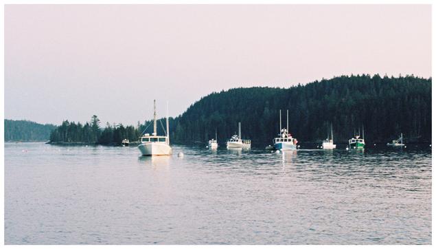 A film photo of collection of lobster boats on their moorings in a small harbor between a small island and a peninsula on the mainland. The photo was taken in landscape orientation and the composition is relatively simple and minimalistic. The sky is pale and hazy and the color and light throughout is subdued. The island is heavily forested with spruce and pine trees and its east side (left in the photo) is low and quickly slopes up to higher ground. The right side of the island is outside of the frame. There are 7 lobster boats of various sizes and colors tied off to moorings. Their bows are pointed towards the point from which the photo was taken