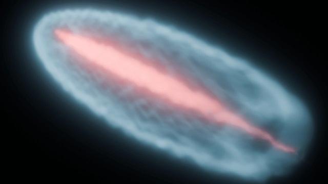 <img alt="Riprodotte sulla Terra le “palle di fuoco cosmiche”: al CERN un esperimento svela nuovi indizi sui campi magnetici dell’universo" class="webfeedsFeaturedVisual wp-post-image" height="720" src="https://i2.wp.com/cdn.mos.cms.futurecdn.net/HGfwNdxhFwSMKGeBomhHVJ-1280-80.jpg?w=1280&amp;resize=1280,720&amp;ssl=1" style="display: block; margin-bottom: 5px; clear: both;" title="Riprodotte sulla Terra le “palle di fuoco cosmiche”: al CERN un esperimento svela nuovi indizi sui campi magnetici dell’universo" width="1280" /><div class="starw-prima-del-contenuto_4" id="starw-3402378698"><div id="addendoContainer_Interstitial"></div></div><p>In un esperimento senza precedenti, un gruppo di scienziati è riuscito a <strong>ricreare in laboratorio le cosiddette “palle di fuoco cosmiche”</strong>, ovvero getti di plasma ad altissima energia simili a quelli emessi dai buchi neri supermassicci al centro di galassie attive, i <strong>blazar</strong>. L’obiettivo di questo studio era comprendere la <strong>stabilità dei flussi di materia ed energia</strong> che viaggiano nello spazio a velocità prossime a quella della luce e chiarire uno dei più grandi enigmi dell’astrofisica moderna: <strong>la scomparsa dei raggi gamma di bassa energia</strong> che le osservazioni astronomiche non riescono a rilevare.</p><div class="starw-contenuto_6" id="starw-2457014629" style="margin-top: 2px; margin-bottom: 2px;"><!-- BOX 300x250 Articolo 1 -->
<div id="addendoContainer_9001" style="width: 300px; 