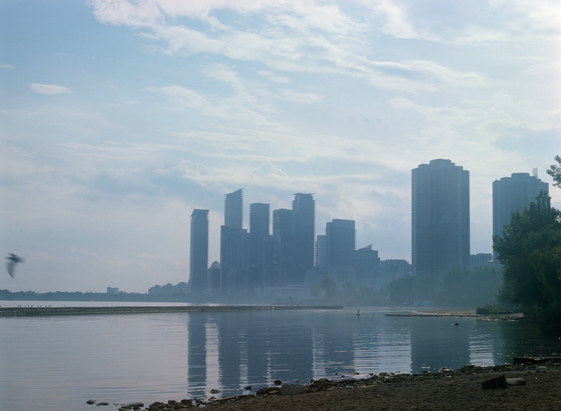 A sculpted sky hangs over a misty mouth of the Humber River, a modern condominium development on the far bank. On this side, the water is placid betwixt the shore and the breakwater, the rusted drainpipe points to the hazard buoy in the channel, and a gull wings toward the left edge of the frame.