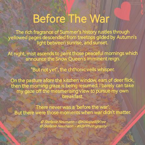 BEFORE THE WAR

The rich fragrance of Summer’s history rustles through yellowed pages descended from treetops gilded by Autumn's light between sunrise, and sunset.

At night, mist ascends to paint those peaceful mornings which announce the Snow Queen's imminent reign.

"But not yet", the chthonic veils whisper.

On the pasture afore the kitchen window, ears of deer flick, then the morning graze is being resumed. I barely can take my gaze off the mesmerising view to pursue my own breakfast.

There never was a 'before the war'.
But there were those moments when war didn't matter.

© Stefanie Neumann - @KokopelliBFree
© Stefanie Neumann - #KBFPhotography