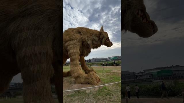 【福岡】ワラで出来た超巨大オブジェ | 制作期間は約2ヶ月 | ど〜んとかがし祭り2025(福岡県筑前町) #shorts