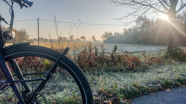 Fahrradvorderrad vor reifbedekter Landschaft mit Sonne in Baumwipfeln