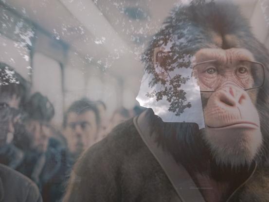 Foto eines Bildes hinter einer Fensterscheibe. 

Das Foto zeigt Bahnfahrende in einem Zugabteil, einige Menschen sind verschwommen zu erkennen. Im "Mittelpunkt" ist der vermenschlichte Schimpanse, mit Jacke und großer Brille. Er nimmt die rechte Hälfte des Bildes ein. Alle sehen sie kontaktvermeidend ins Leere. 
In der Fensterscheibe spiegeln sich belaubte Äste. 
Die Farben sind zurückhaltend, "langweilig".