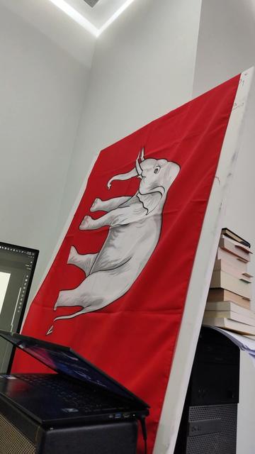 The Siamese flag used from 1843 - 1916