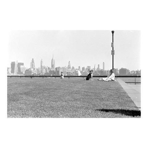 A woman and her dog sits in a park lawn, in the backdrop of midtown manhattan skyline in the background.