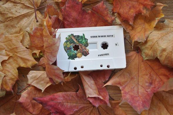 Among red/brow leaves, an audio cassette is laying, it is white/creamy with green element around one of the holes, and has two a bit oblique lines of capitalized text "Signal to Noise Ratio" and "Poszycie".