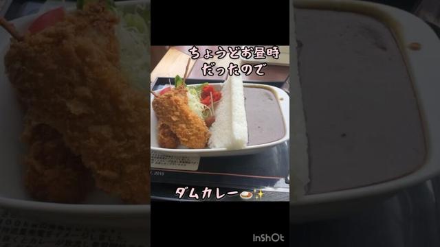 ダムカレー放流なるか⁈#shorts #カレー #カレーライス #ダム #魚沼市 #山 #夏 #休日 #自然 #絶景 #夏の思い出 #休日の過ごし方