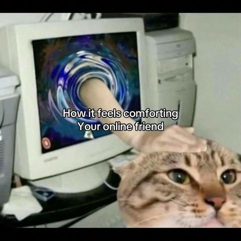 A meme, saying "How it feels comforting your online friend", with a hand sticking out of a monitor to pet a cat