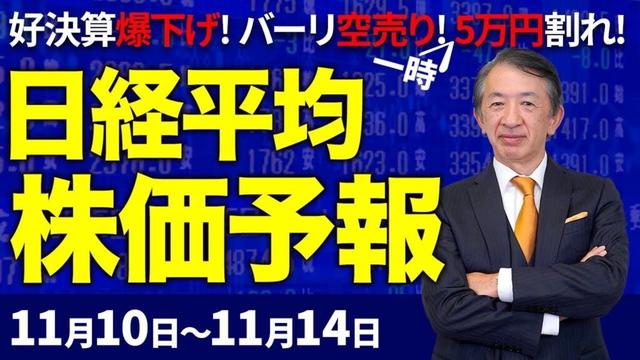 【株価予想】最新の日経平均×来週の株価見通し／反落！607円安！一時5万円割れ！大型成長株、割高警戒！好決算爆下げ！米ハイテク株安！バーリ氏空売り！AIブーム終焉？／【11/10〜11/14】