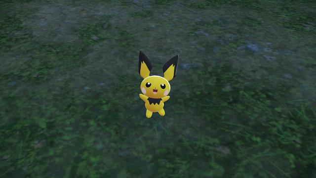 Shiny Pichu wanting to battle