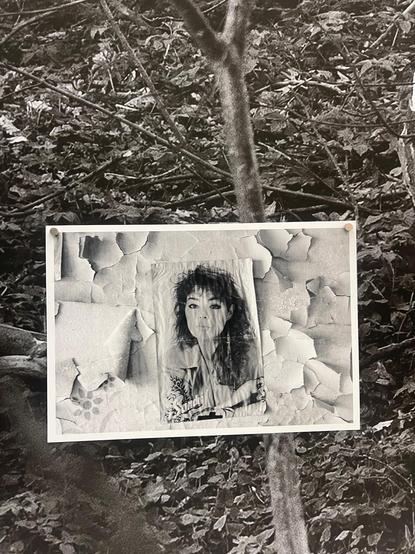 Auf dem Hintergrund ist Unterholz zu sehen. Auf dieses Foto ist ein Bild montiert, dass eine abgeblätterte Tapete sowie ein Porträt einer jungen Frau zeigt.
