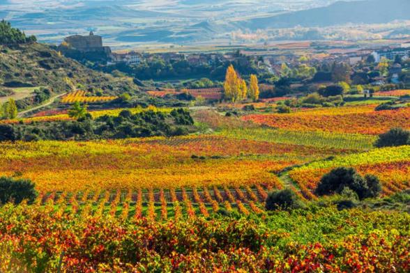 Un paisaje del País Vasco en otoño. (Getty Images)