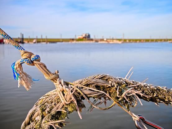 Various ropes in the foreground, with water and the dyke behind them. The sun is shining; it is a beautiful day.