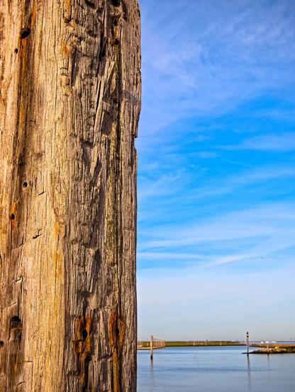 The left half of the picture is dominated by a rugged wooden trunk. To the right, you can see water, a harbour exit, and the sea beyond. All under a blue sky with wispy clouds.