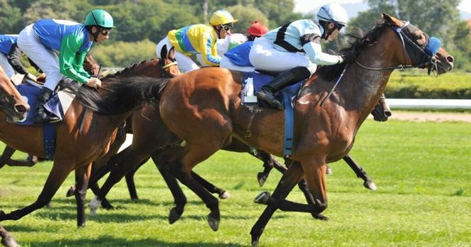 競馬で稼いだ68万円が20年後の人生を変えた話 | DIE WITH ZERO