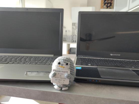 Deux PC portables avec une peluche pinqouin positif entre les deux