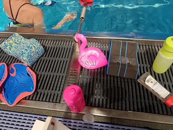 Photo : Au bord d'un bassin de 50m d'une piscine extérieure, les nageurs et nageuses posent du matériel qu'iels vont utiliser en fonction des séries, plaquettes (sorte de palme pour les mains), pull-biy (flotteur qui se coince entre les cuisse pour empêcher les jambes de bouger et ne nager qu'avec les bras, gourdes contenant des liquides de récupération ou simplement de l'eau...et... une mini-bouée flamant rose de 10 cm de diamètre max ! Maiss qu'est ce que ça fait là ce truc !?