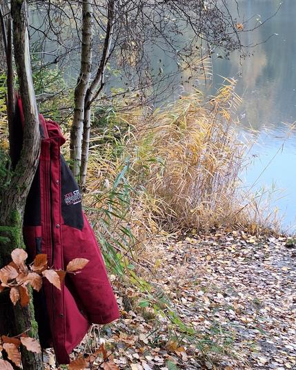 Unter links ein Seeufer bedeckt mit Birkenlaub, gelb-goldenes Schilfgras darüber und oben rechts eine Wasseroberfläche, die in Ufernähe himmelblau ist und im oberen Teil das gegenüberliegende Ufer spiegelt. Am linken Bildrand eine Gruppe dünner Birkenbaumstämme, an denen eine rot-schwarze Outdoor Winterjacke hängt.