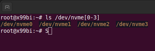 ls command on Linux showing four nvme devices
