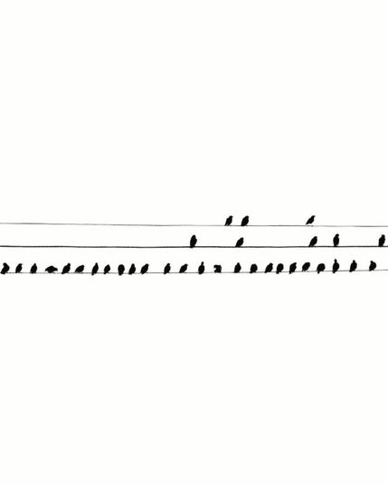 Etwas mehr als 30 Stare sitzen auf einer Stromleitung. Schwarzweissfoto.