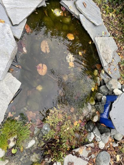 i'll look over top of the top pond shows vegetation on the end nearest the stream and some leaves floating in the main body of the pond with dying Lilly pads, goldfish, deep near the rocks