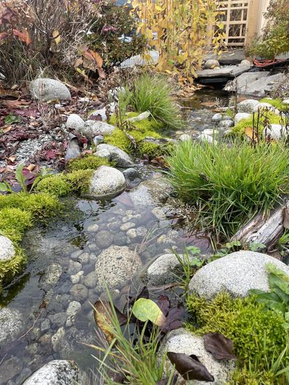 working down the stream, it is lined with moss and grass.