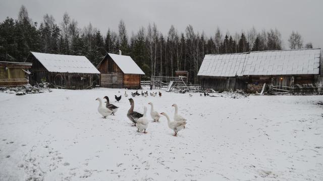 Cour de ferme sous la neige. Les bâtiments sont en bois.